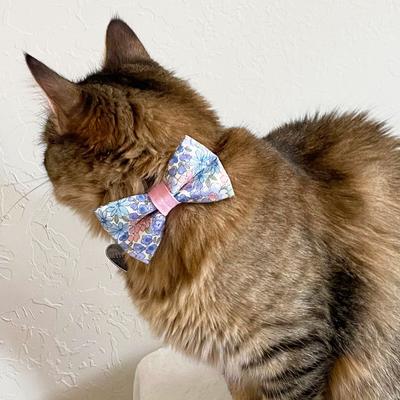 Show full view: Made By Cleo Willow Cat Collar slide 5 of 6