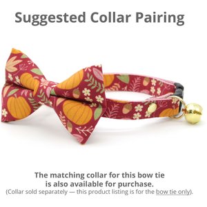 Made By Cleo Pumpkin Patch Cranberry Cat Bow Tie