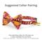 Show in main carousel: Made By Cleo Pumpkin Patch Cranberry Cat Bow Tie slide 2 of 5