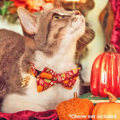 Show full view: Made By Cleo Pumpkin Patch Cranberry Cat Collar slide 3 of 7