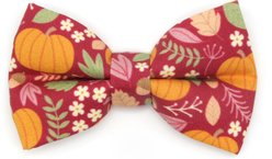 Made By Cleo Pumpkin Patch Cranberry Cat Bow Tie