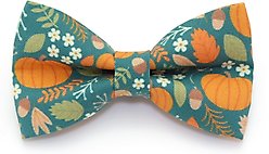Made By Cleo Pumpkin Patch Teal Cat Bow Tie