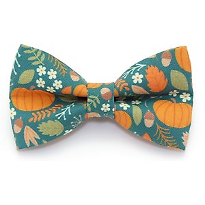 Made By Cleo Pumpkin Patch Teal Cat Bow Tie