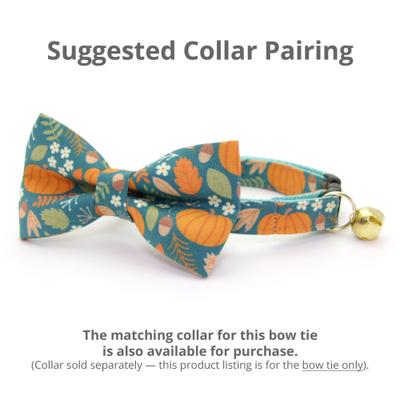Show full view: Made By Cleo Pumpkin Patch Teal Cat Bow Tie slide 3 of 4