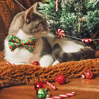 Show full view: Made By Cleo Christmas Treats Green Cat Collar slide 4 of 6