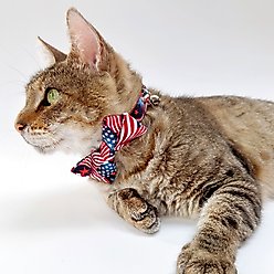 Made By Cleo Stars & Stripes Cat Bow Tie slide 2 of 3