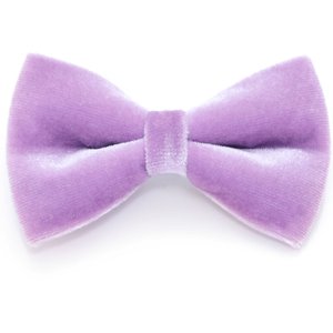 Made By Cleo Velvet Lavender Cat Bow Tie