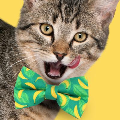 Show full view: Made By Cleo Going Bananas Green Cat Collar slide 3 of 5