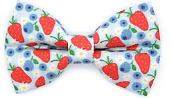 Made By Cleo Berry Bramble Cat Bow Tie