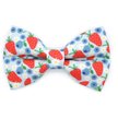 Made By Cleo Aurora Cat Bow Tie