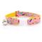 Show in main carousel: Made By Cleo Confetti Sprinkles Cat Collar slide 1 of 5