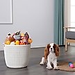 Show in main carousel: HANAMYA Dog Toy Storage Basket, 36-l slide 1 of 2
