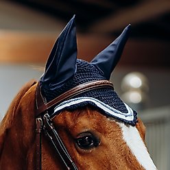 B Vertigo Cameron Double Corded Horse Ear Net, Dark Navy, Horse