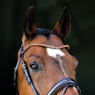 Show full view: Horze Clermont Ergonomic Crystal Horse Bridle, Dark Brown, Horse slide 6 of 6