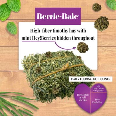 Show full view: Lafeber Mint Berrie-Bale Rabbit Food, 1.25-lb bag slide 5 of 10