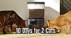 OneIsAll PFD-002 PRO 5G Wifi Automatic Cat Feeder, 20-cup slide 2 of 9