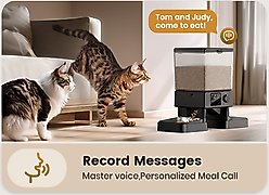 OneIsAll Stainless Steel Automatic Two Bowl Cat Feeder, Black, 20-cup slide 2 of 9