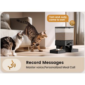 OneIsAll Stainless Steel Automatic Two Bowl Cat Feeder, Black, 20-cup