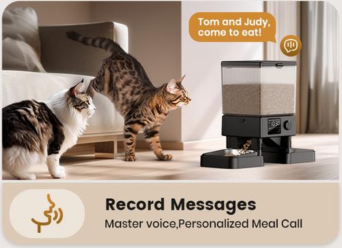 ONEISALL Stainless Steel Automatic Two Bowl Cat Feeder, Black, 20