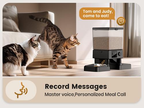 Show full view: OneIsAll Stainless Steel Automatic Two Bowl Cat Feeder, Black, 20-cup slide 9 of 12