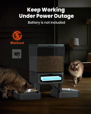 Show full view: OneIsAll Stainless Steel Automatic Two Bowl Cat Feeder, Black, 20-cup slide 8 of 12