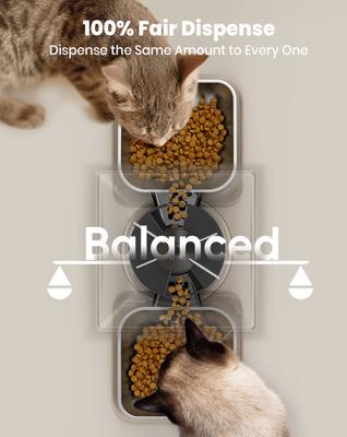 Show full view: OneIsAll Stainless Steel Automatic Two Bowl Cat Feeder, Black, 20-cup slide 6 of 12