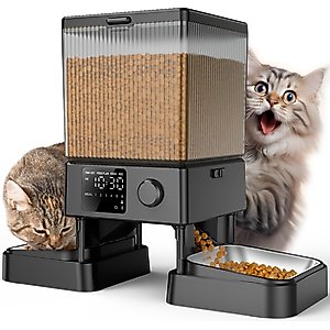 OneIsAll Stainless Steel Automatic Two Bowl Cat Feeder, Black, 20-cup