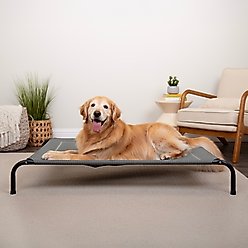 FurHaven Elevated Dog & Cat Bed, Graphite Gray, Large