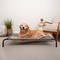 Show in main carousel: FurHaven Elevated Dog & Cat Bed, Graphite Gray, Large slide 1 of 11
