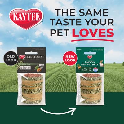 Show full view: Kaytee Mini Hay Bale Carrot Small Pet Hay, 3.5-oz bag slide 2 of 12