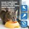Show in main carousel: Liquid-Vet Teeth & Gums Support Allergy-friendly Unflavored Cat Supplement, 8-fl oz bottle slide 7 of 12