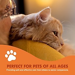 Liquid-Vet Feline Pre & PostBiotic Support Seafood Flavor Cat Digestive Aid, 8-fl oz bottle slide 2 of 8