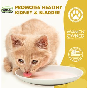Liquid-Vet Kidney & Bladder Support Chicken Flavor Cat Supplement, 8-fl oz bottle