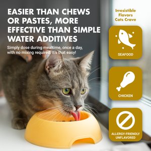 Liquid-Vet Kidney & Bladder Support Chicken Flavor Cat Supplement, 8-fl oz bottle