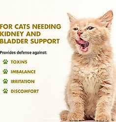 Liquid-Vet Kidney & Bladder Support Allergy-Friendly Unflavored Cat Supplement, 8-fl oz bottle slide 2 of 8