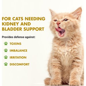 Liquid-Vet Kidney & Bladder Support Chicken Flavor Cat Supplement, 8-fl oz bottle