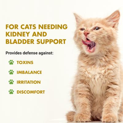 Show full view: Liquid-Vet Kidney & Bladder Support Allergy-Friendly Unflavored Cat Supplement, 8-fl oz bottle slide 3 of 12