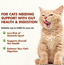 Liquid-Vet Feline Pre & PostBiotic Support Unflavored Cat Digestive Aid, 8-fl oz bottle slide 2 of 8