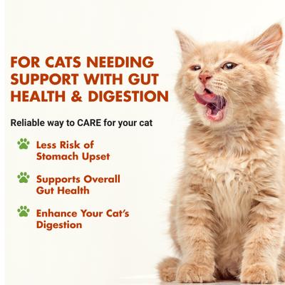 Show full view: Liquid-Vet Feline Pre & PostBiotic Support Seafood Flavor Cat Digestive Aid, 8-fl oz bottle slide 3 of 9