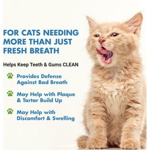 Liquid-Vet Teeth & Gums Support Chicken Flavor Cat Supplement, 8-fl oz bottle