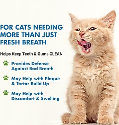 Liquid-Vet Teeth & Gums Support Allergy-friendly Unflavored Cat Supplement, 8-fl oz bottle slide 2 of 8