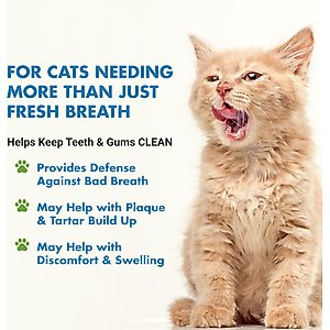 Liquid-Vet Teeth & Gums Support Allergy-friendly Unflavored Cat Supplement, 8-fl oz bottle