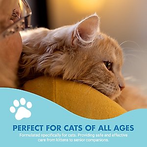 Liquid-Vet Teeth & Gums Support Allergy-friendly Unflavored Cat Supplement, 8-fl oz bottle