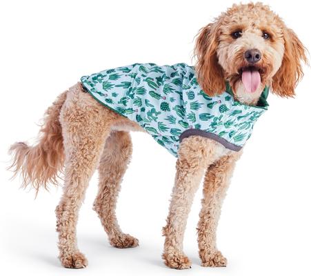 Show full view: GF Pet Reversible Dog Raincoat, Green, XX-Small slide 4 of 10