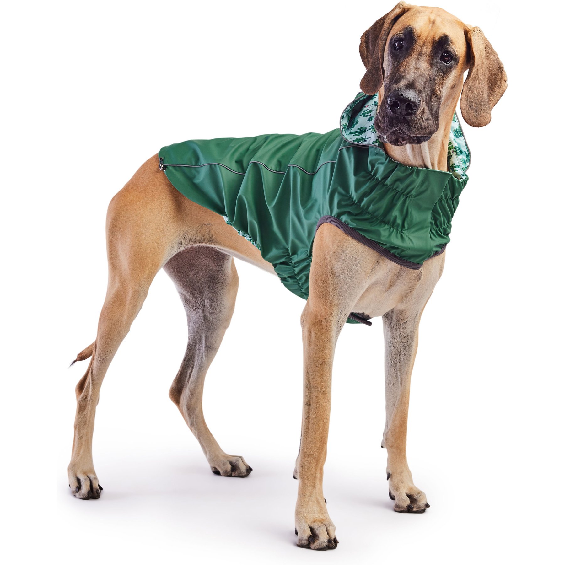 GF Pet Reversible Dog Raincoat, Green, XX-Large