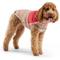 Show in main carousel: GF Pet Color Block Dog Puffer Jacket, Pink, XX-Small slide 1 of 9