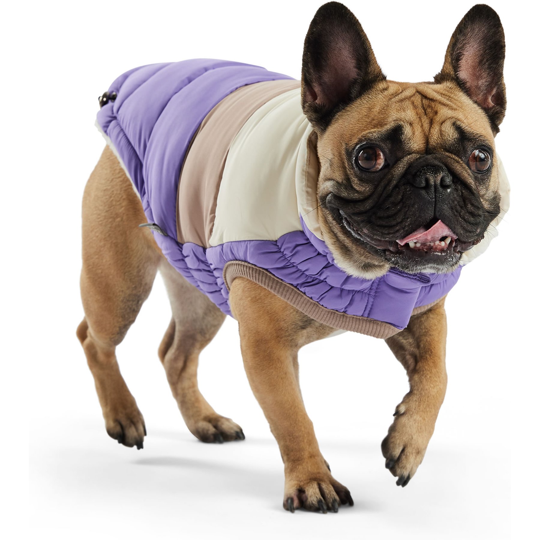 GF Pet Color Block Dog Puffer Jacket, Purple, XX-Small