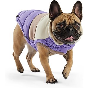 GF Pet Color Block Dog Puffer Jacket, Purple, X-Large