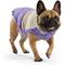 Show in main carousel: GF Pet Color Block Dog Puffer Jacket, Purple, X-Large slide 1 of 11