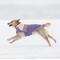 Show in main carousel: GF Pet Color Block Dog Puffer Jacket, Purple, X-Large slide 8 of 11